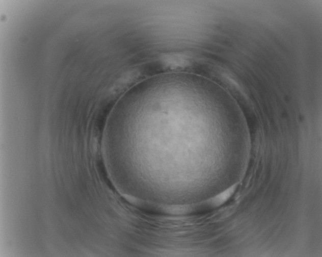 X0000063530417200601271906