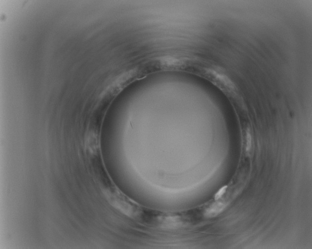 X0000063530419200601271906