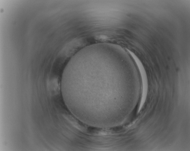 X0000063530420200601271906