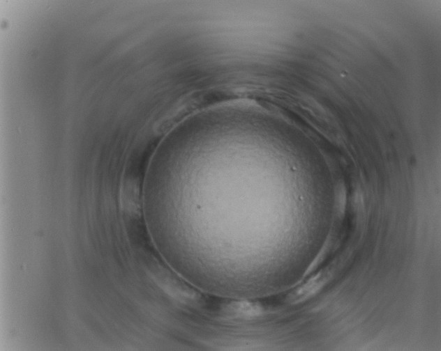 X0000063530421200601271906