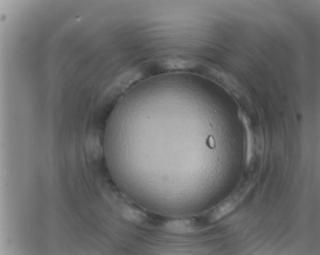 X0000063530422200601271906