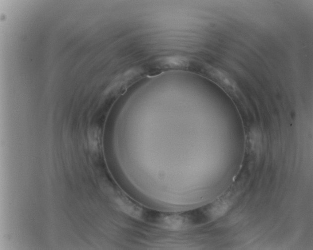 X0000063530423200601271906