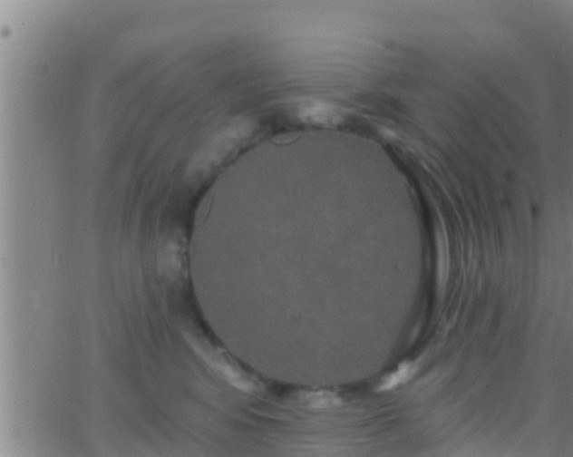 X0000063530424200601271906