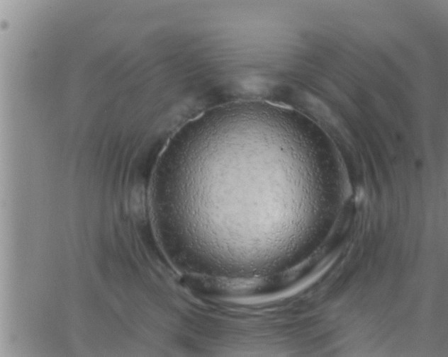 X0000063530425200601271906