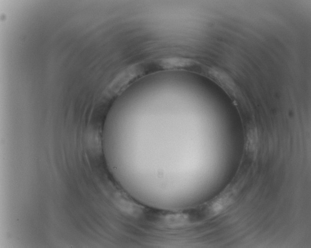 X0000063530426200601271906