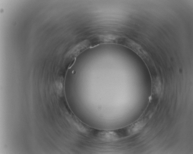 X0000063530427200601271906