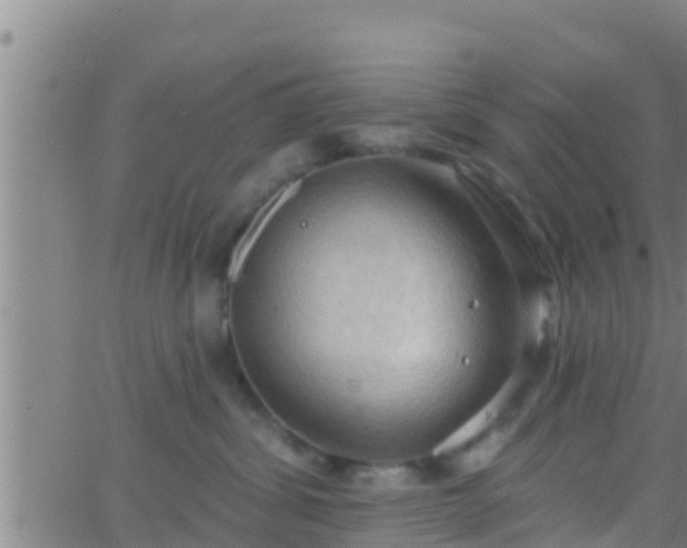 X0000063530428200601271906