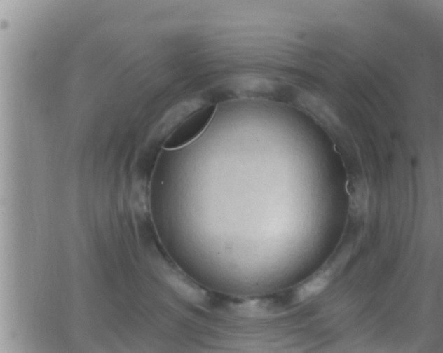 X0000063530430200601271906