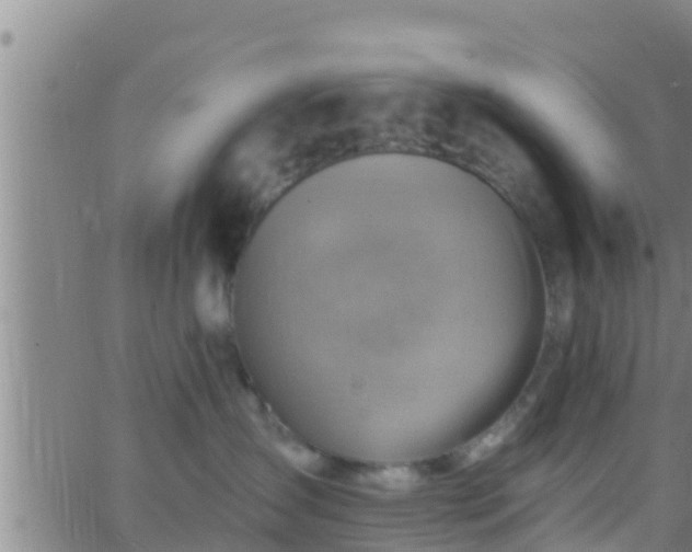 X0000063530431200601271906