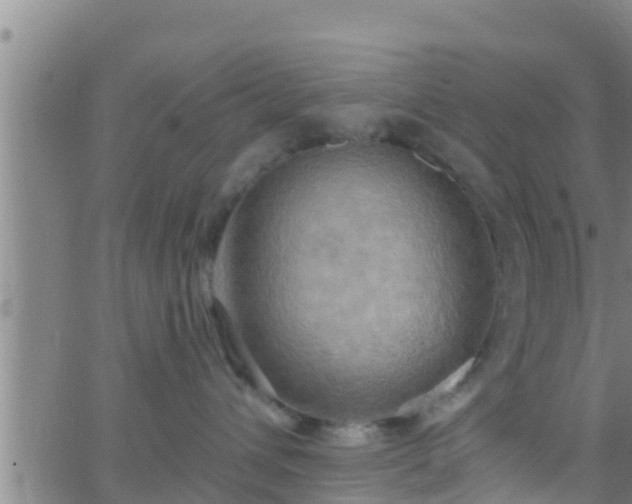 X0000063530432200601271906