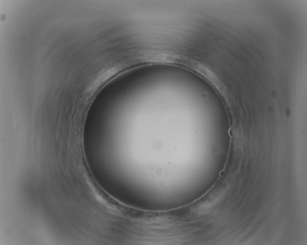 X0000063530433200601271905