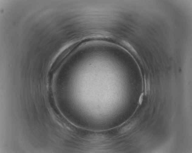 X0000063530435200601271905