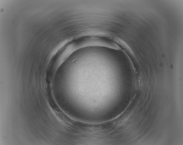 X0000063530436200601271905