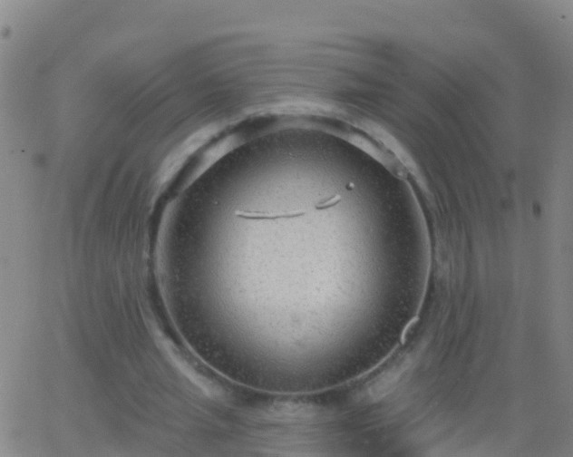 X0000063530437200601271905