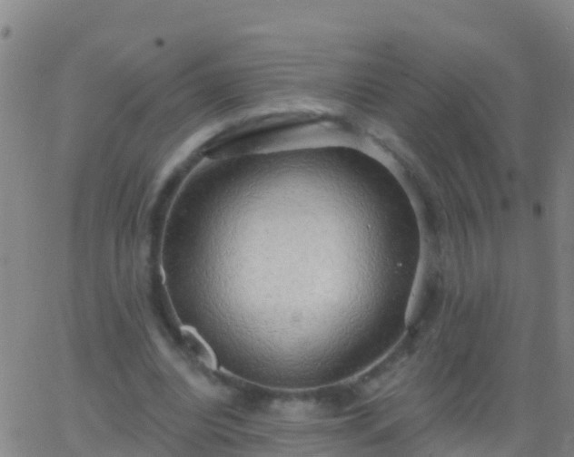 X0000063530440200601271905