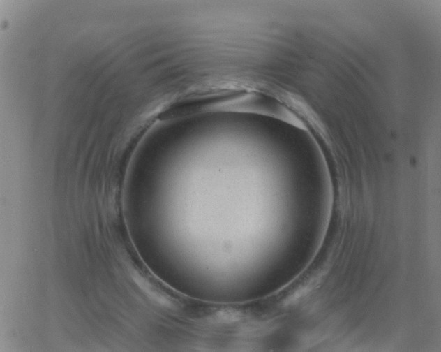 X0000063530441200601271905