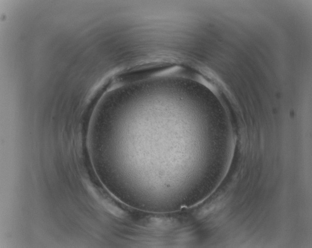 X0000063530442200601271905