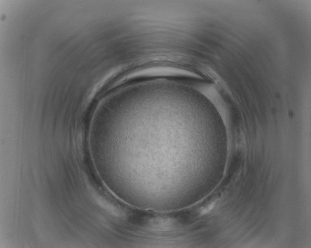 X0000063530444200601271905