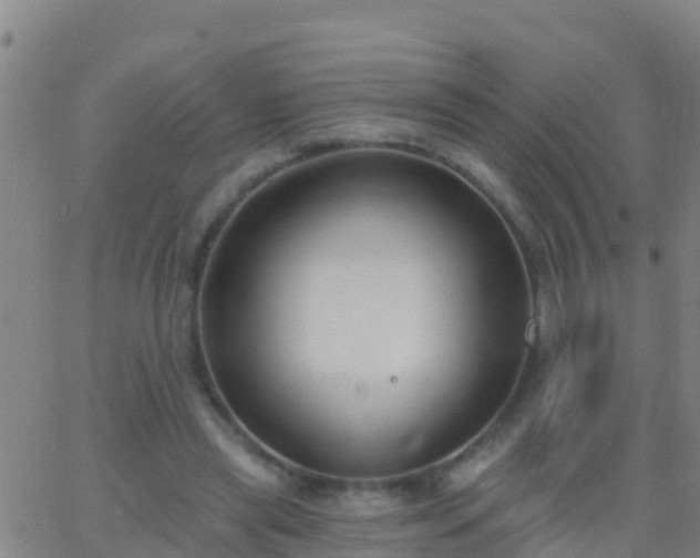 X0000063530445200601271905