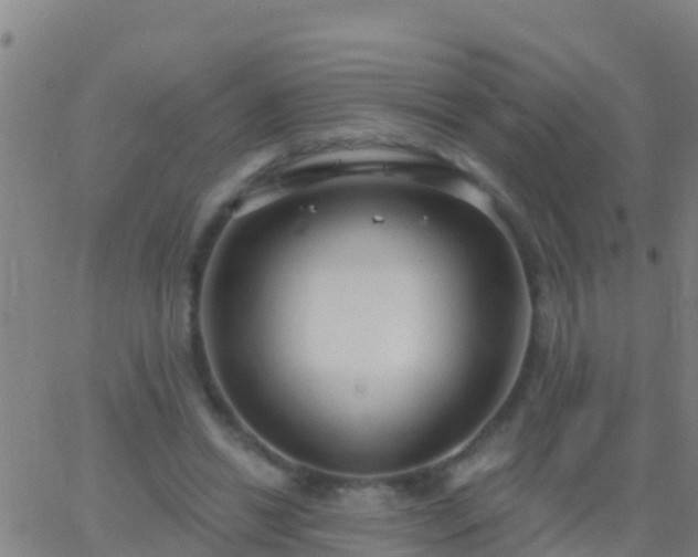 X0000063530446200601271905