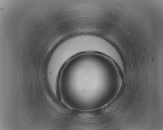 X0000063530448200601271905