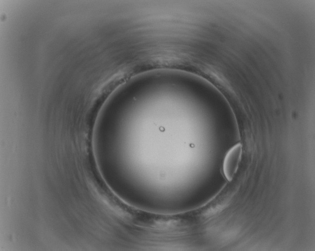 X0000063530450200601271905