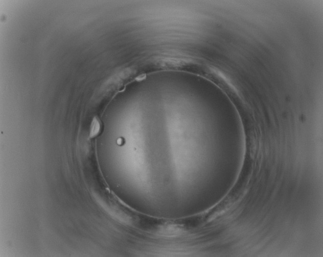 X0000063530451200601271905