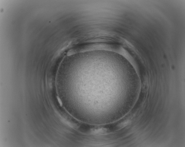 X0000063530452200601271905