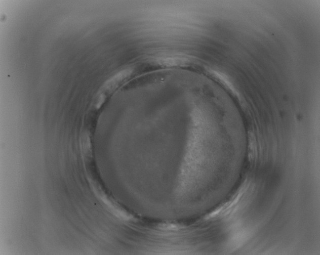 X0000063530453200601271905