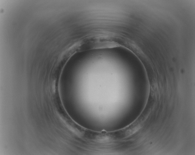 X0000063530454200601271905