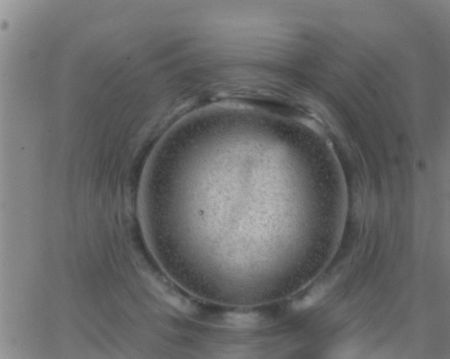 X0000063530457200601271905