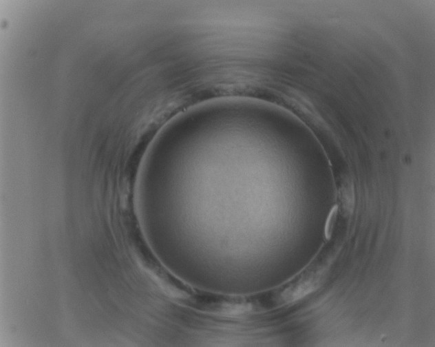 X0000063530458200601271905