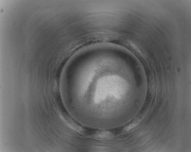 X0000063530459200601271905