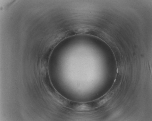 X0000063530460200601271905