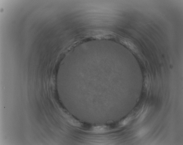 X0000063530461200601271905