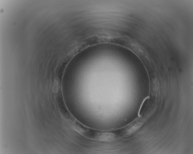 X0000063530463200601271905