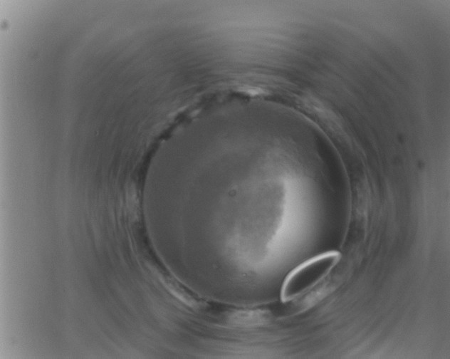 X0000063530465200601271905