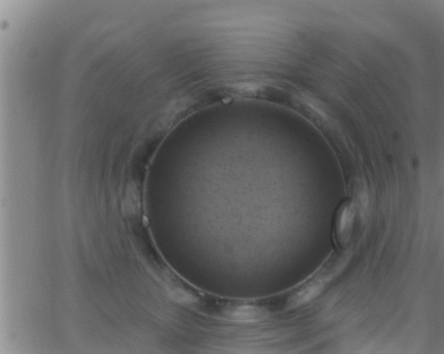 X0000063530467200601271905