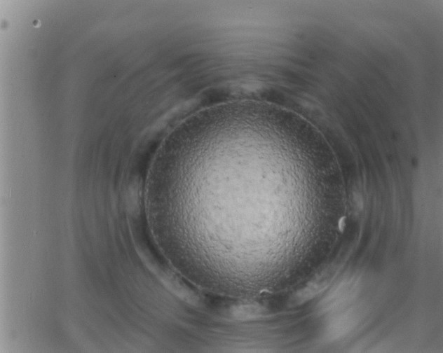 X0000063530468200601271905