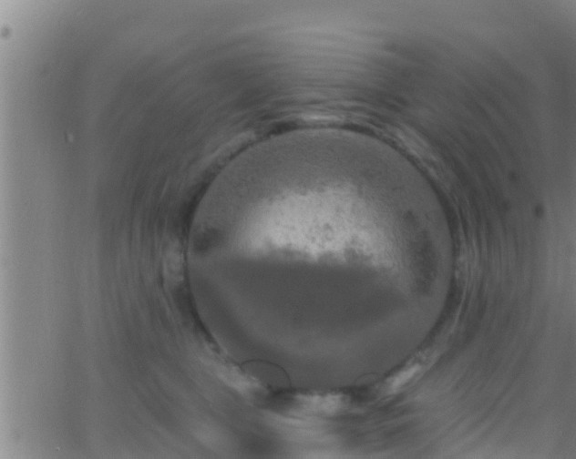 X0000063530469200601271905