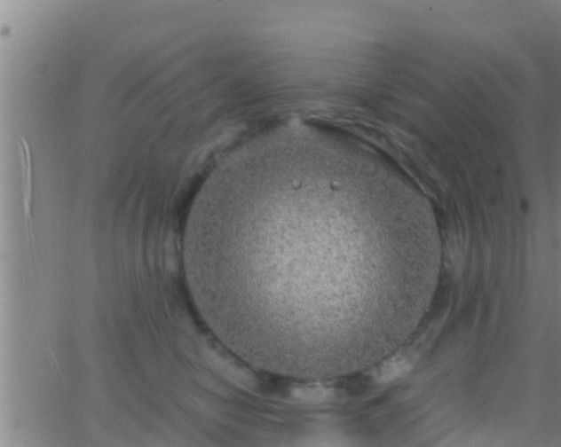 X0000063530470200601271905