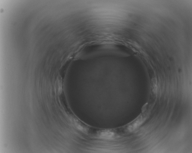 X0000063530471200601271905