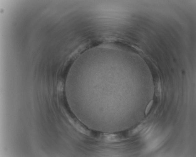 X0000063530472200601271905