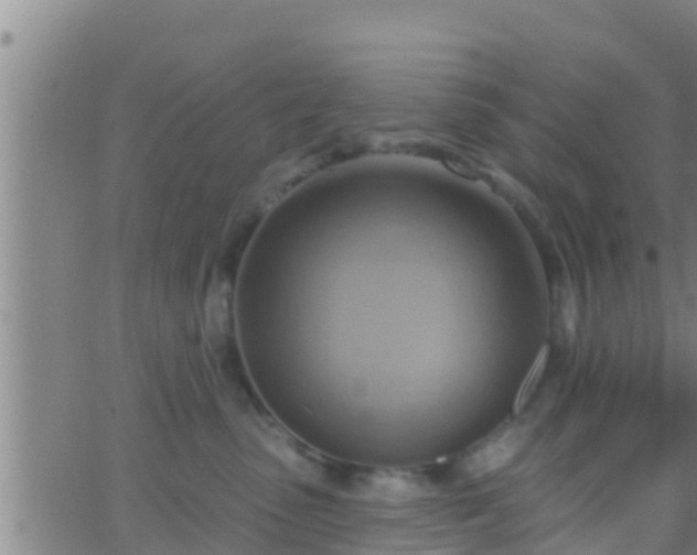 X0000063530475200601271905