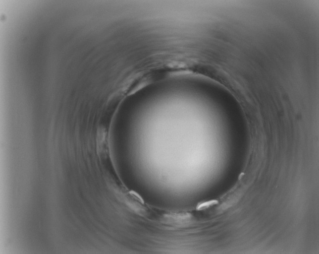 X0000063530480200601271906