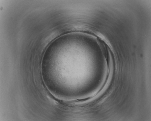 X0000063530481200601271905