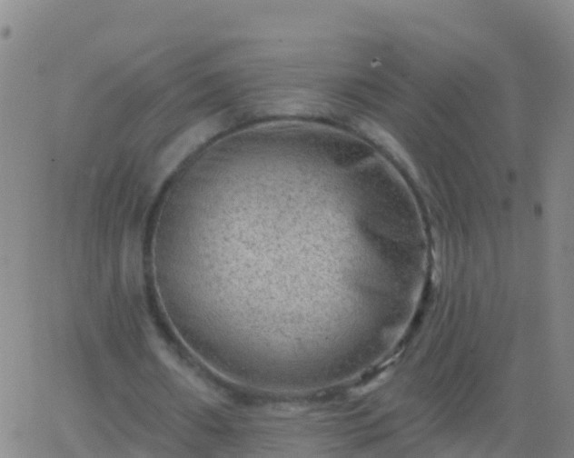 X0000063530482200601271905