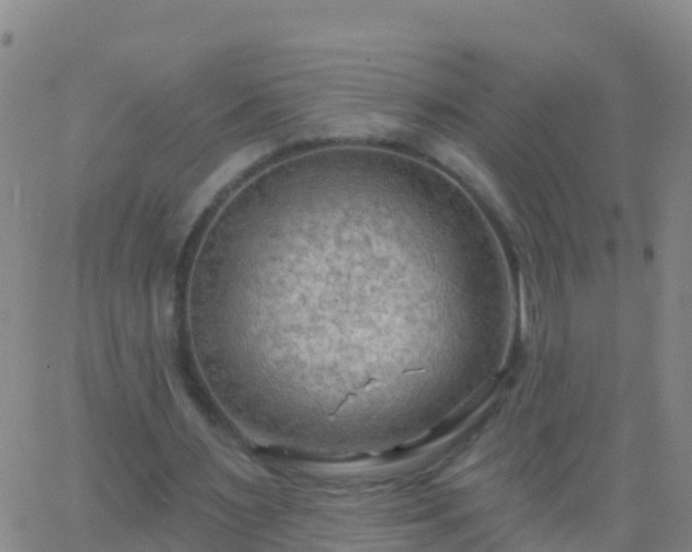 X0000063530483200601271905