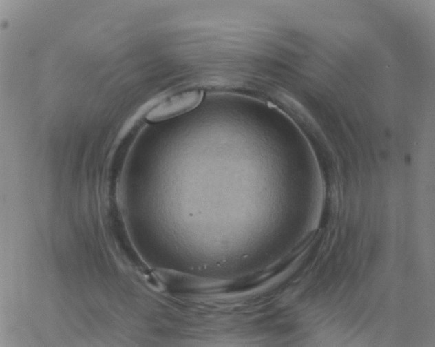 X0000063530484200601271905