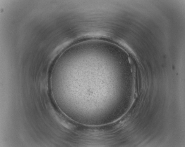 X0000063530486200601271905